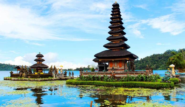 HELP SANYA VOLUNTEER IN BALI! | FundMyTravel