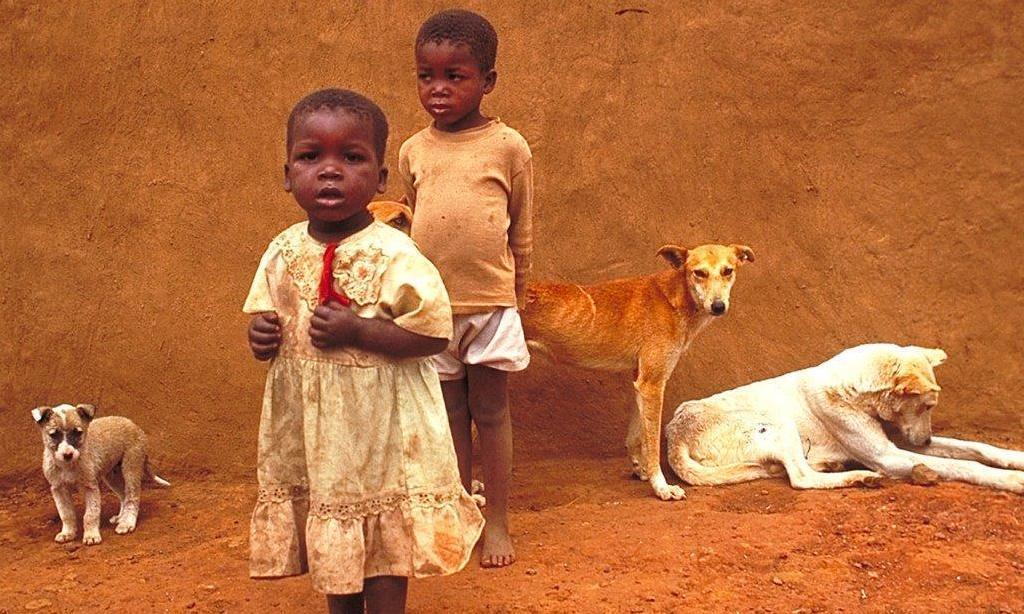 The Original Dog of Africa; A Photoessay | FundMyTravel