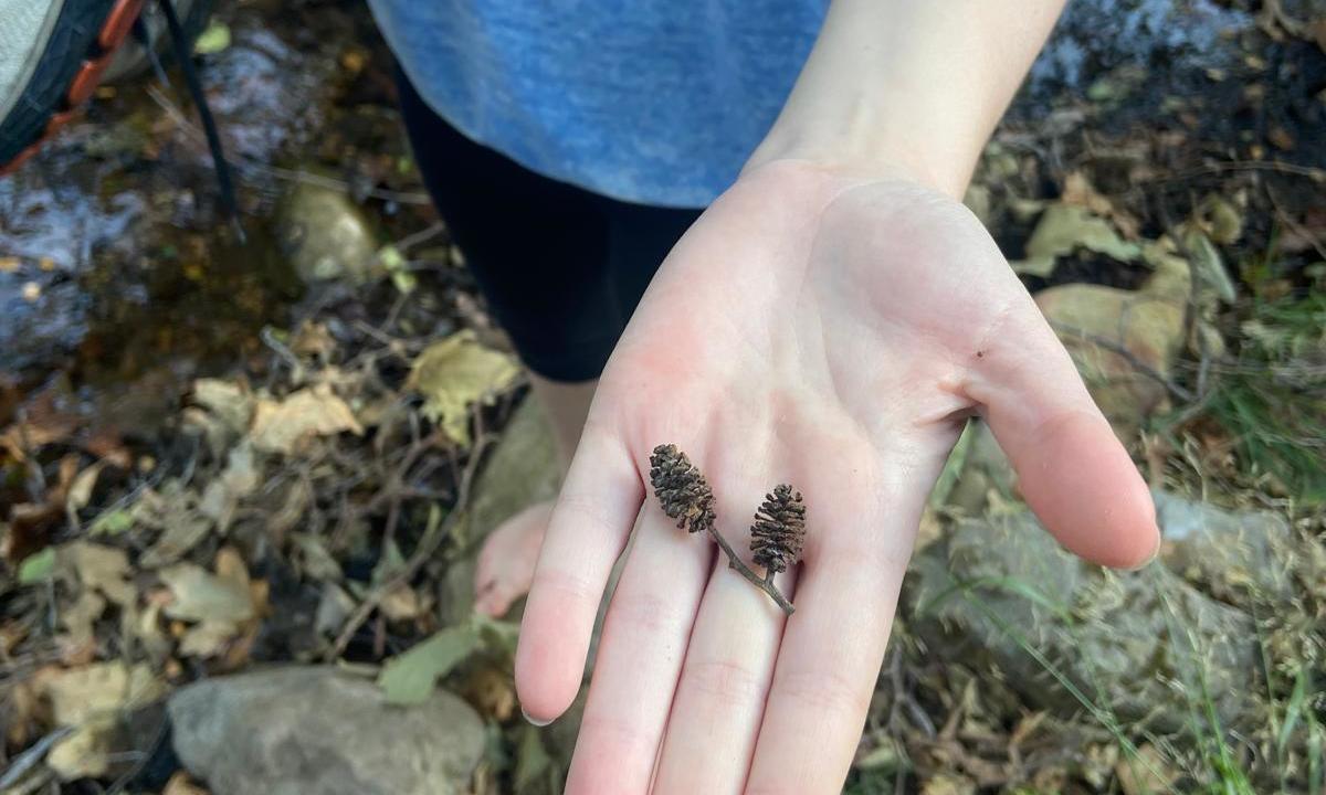 Hiking the 100 Mile Wilderness