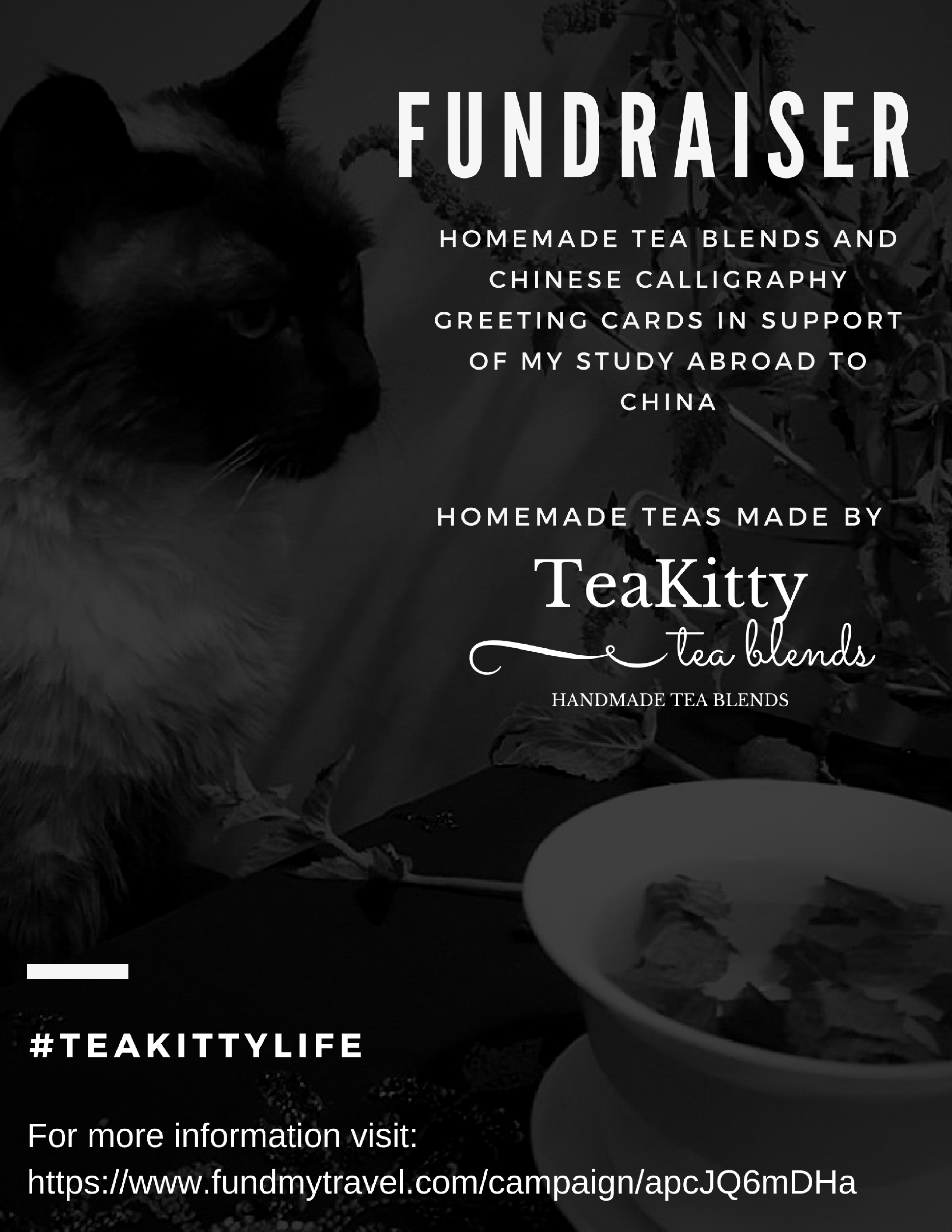 Fundraiser Flyer